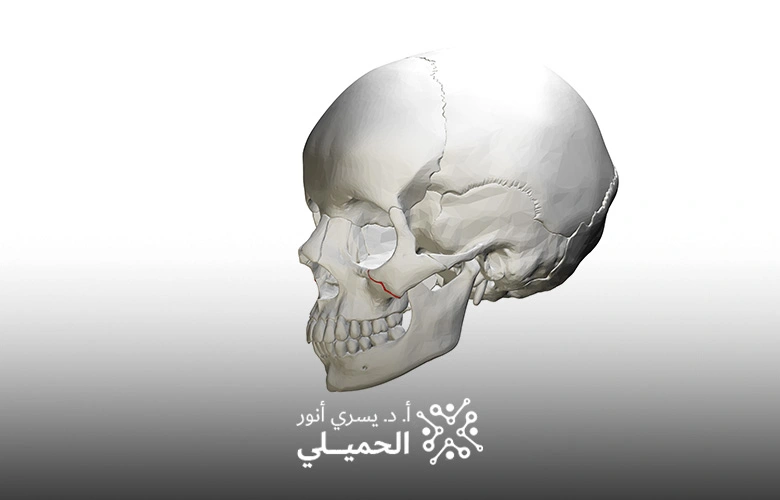 Skull Fracture Surgeries