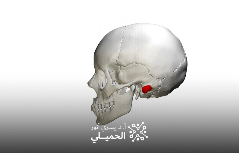 أورام قاع الجمجمة