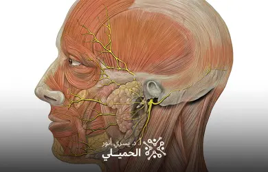 تكلفة عملية التردد الحراري للعصب الخامس