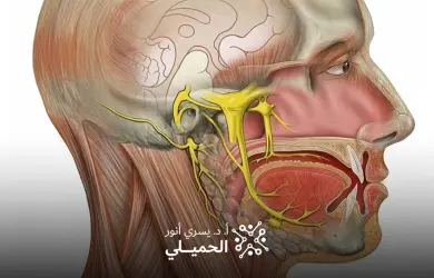 علاج العصب الخامس بالتردد الحراري