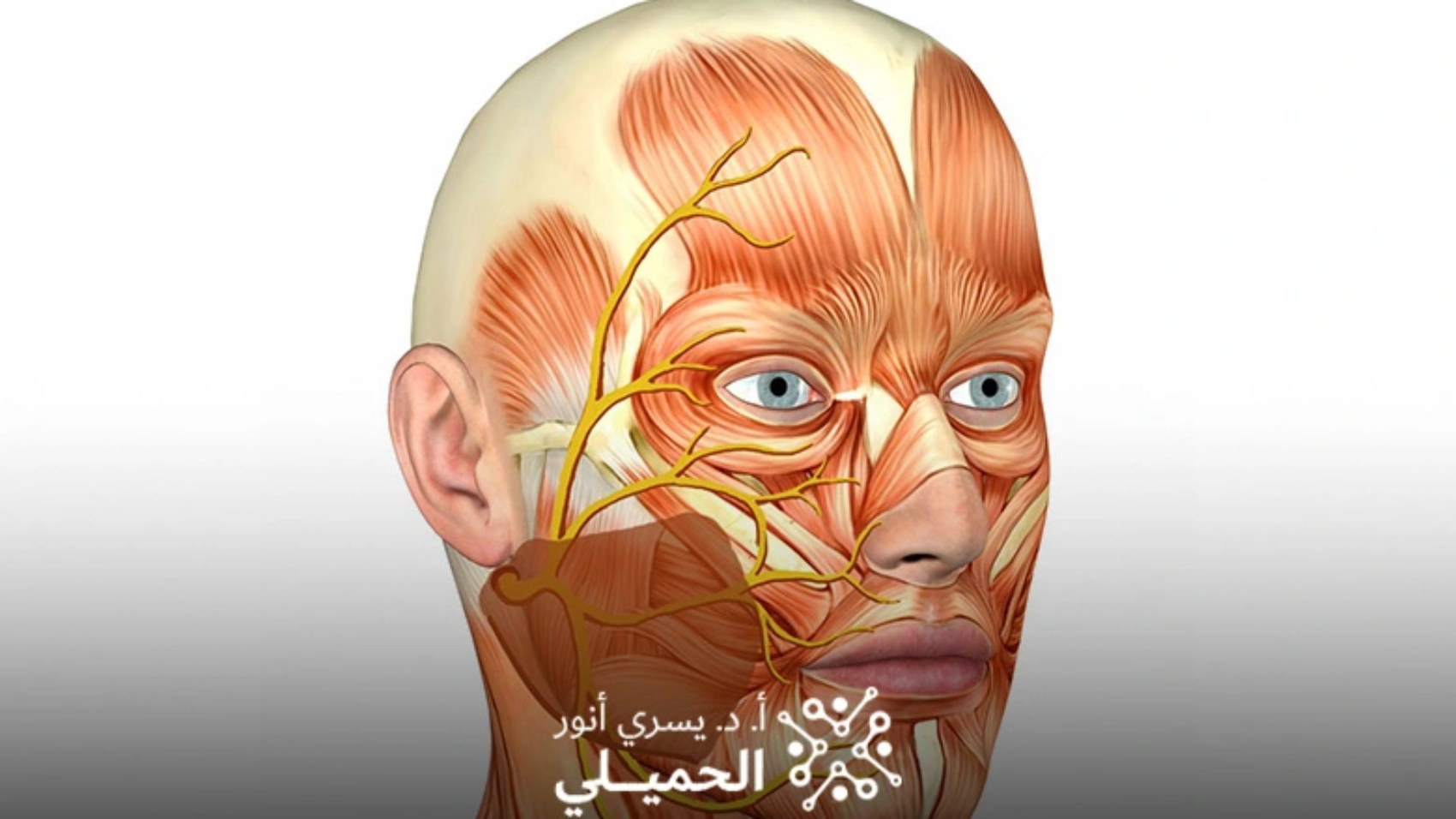 ezgif.com-jpg-to-webp-converter-5