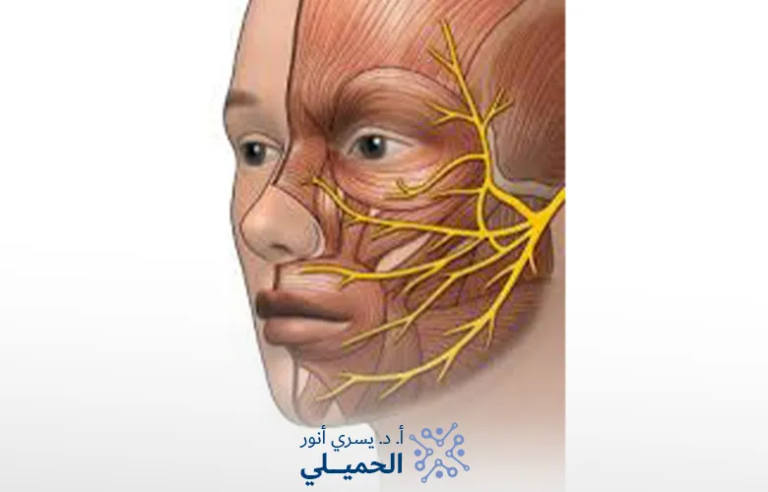 أسباب-تأخر-شفاء-التهاب-العصب-السابع