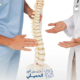 افضل-دكتور-جراحة-العمود-الفقري-في-مصر