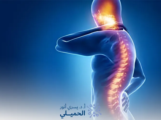 افضل-دكتور-لعلاج-الحبل-الشوكي-في-مصر