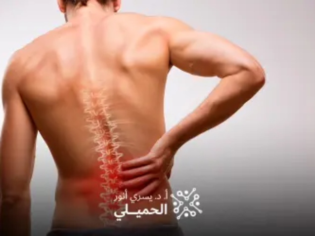 افضل-علاج-للغضروف-الظهر