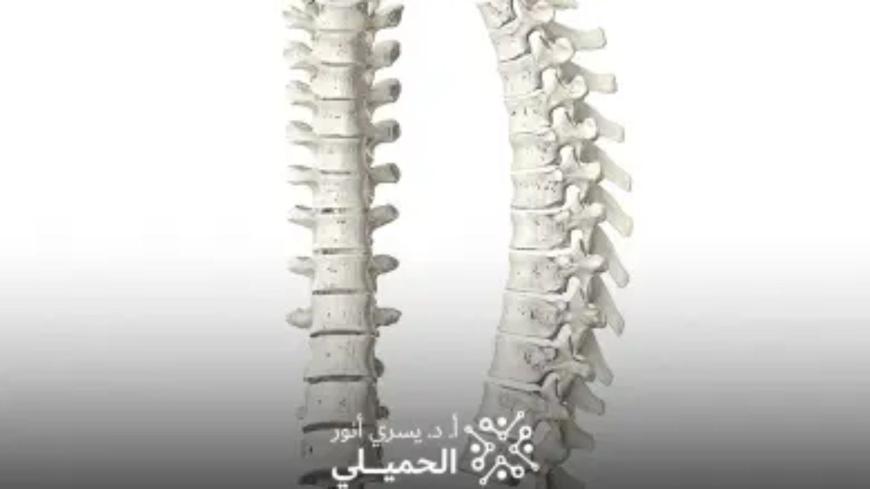 تثبيت-الفقرات-القطنية-والعجزية