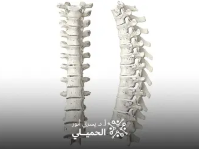 تثبيت-الفقرات-القطنية-والعجزية