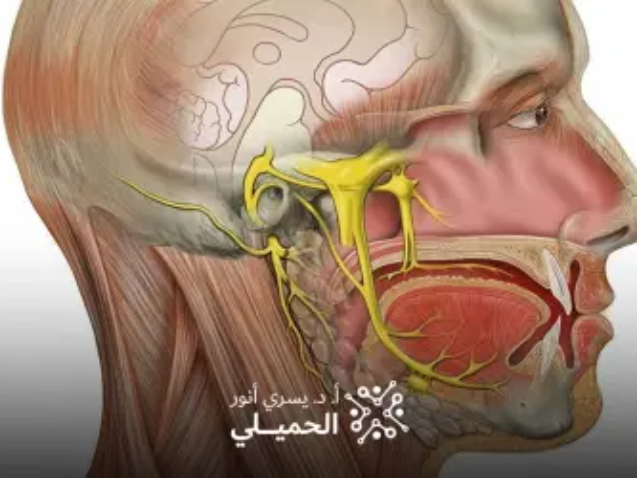 علاج-العصب-الخامس-بالتردد-الحراري