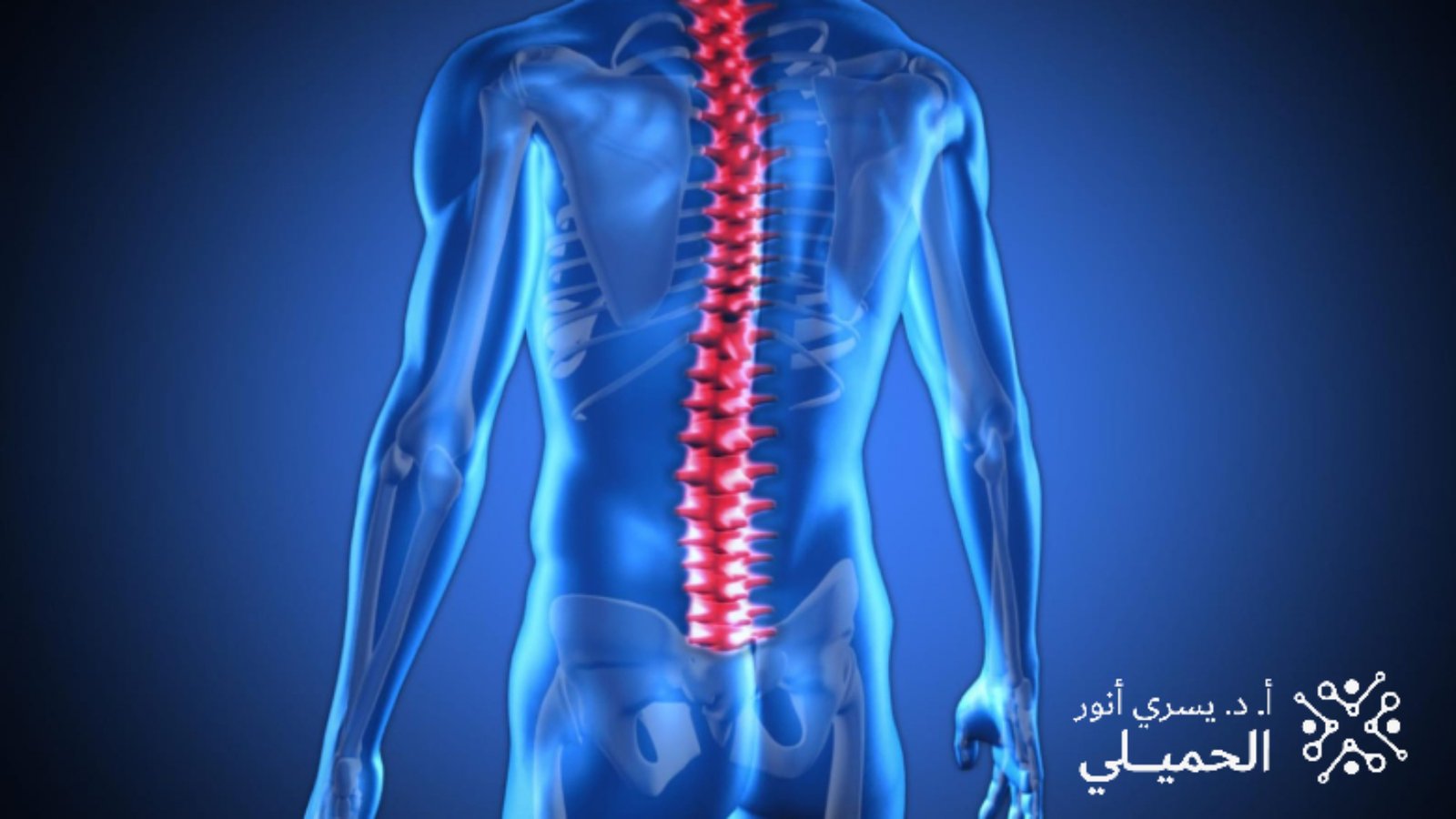 أفضل دكتور لعلاج الحبل الشوكي في مصر