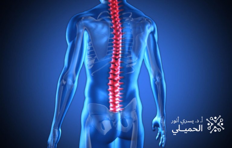 أفضل دكتور لعلاج الحبل الشوكي في مصر