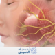 العصب السابع