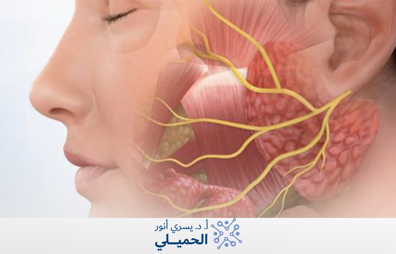 العصب السابع