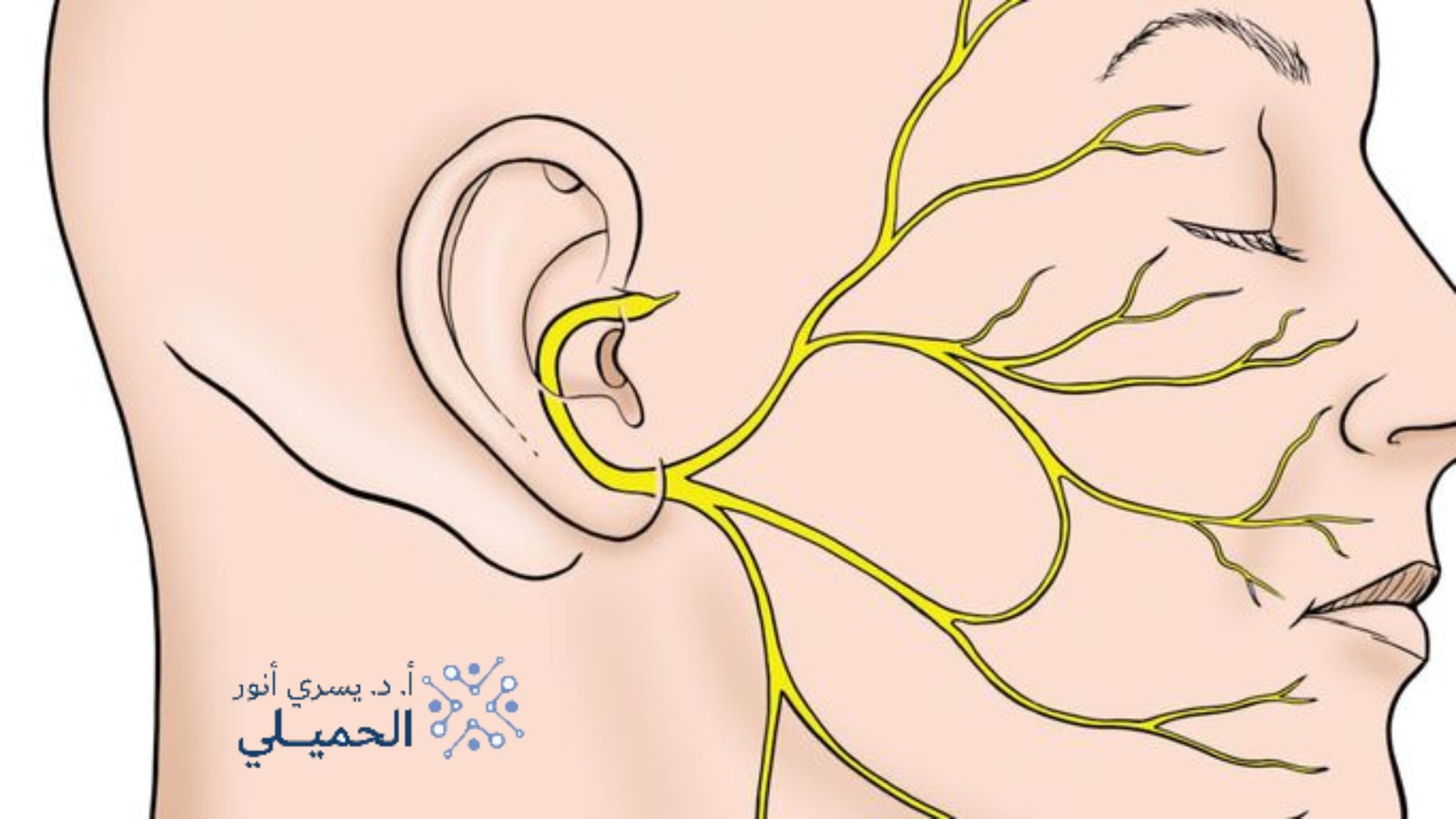 علاج العصب السابع في السعودية