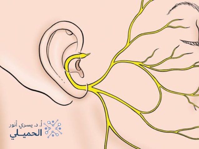 علاج العصب السابع في السعودية (Facial Nerve Palsy )