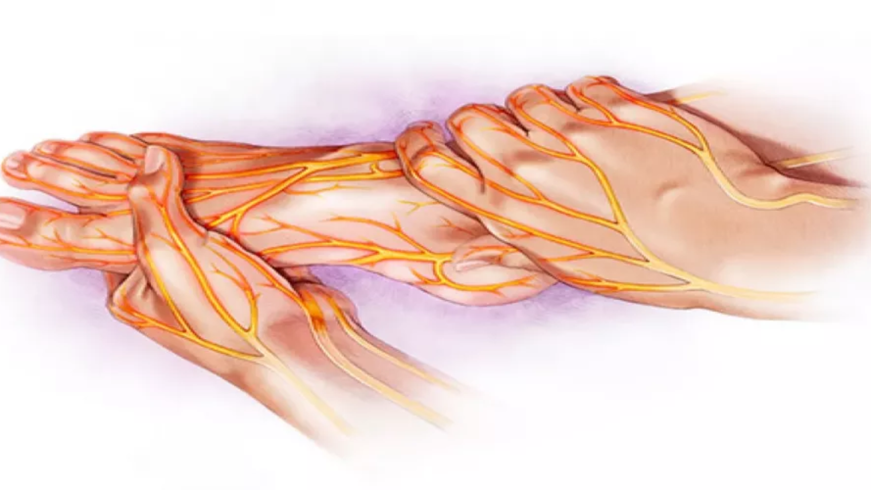 علاج التهابات الاعصاب الطرفية