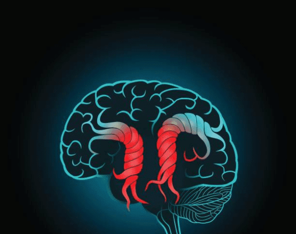 سعر جهاز الشنط الدماغي