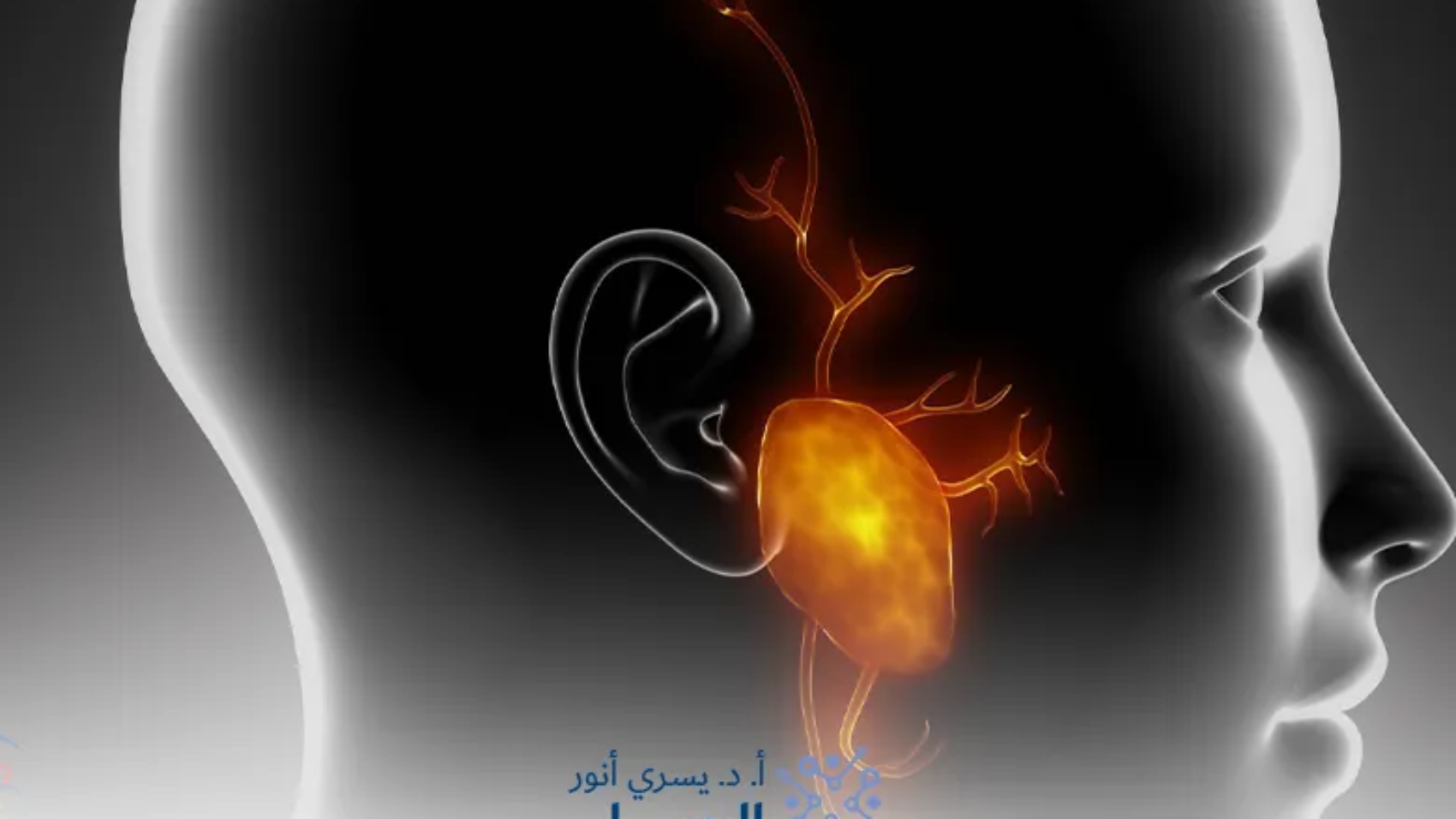 أعراض العصب السابع قبل حدوثه وأهم العلامات التحذيرية المبكرة