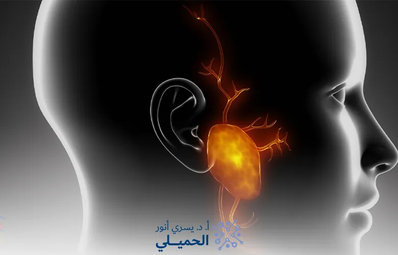 أعراض العصب السابع قبل حدوثه وأهم العلامات التحذيرية المبكرة