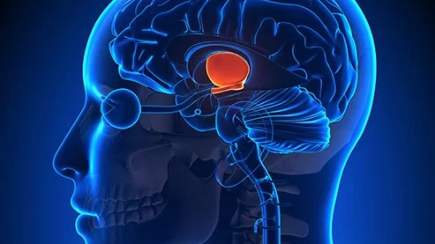 علاج الغدة النخاميه في السعودية