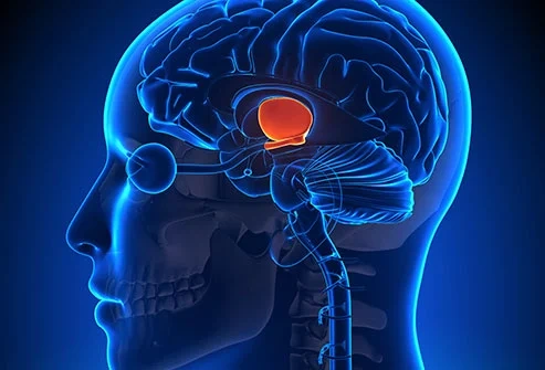 علاج الغدة النخاميه في السعودية